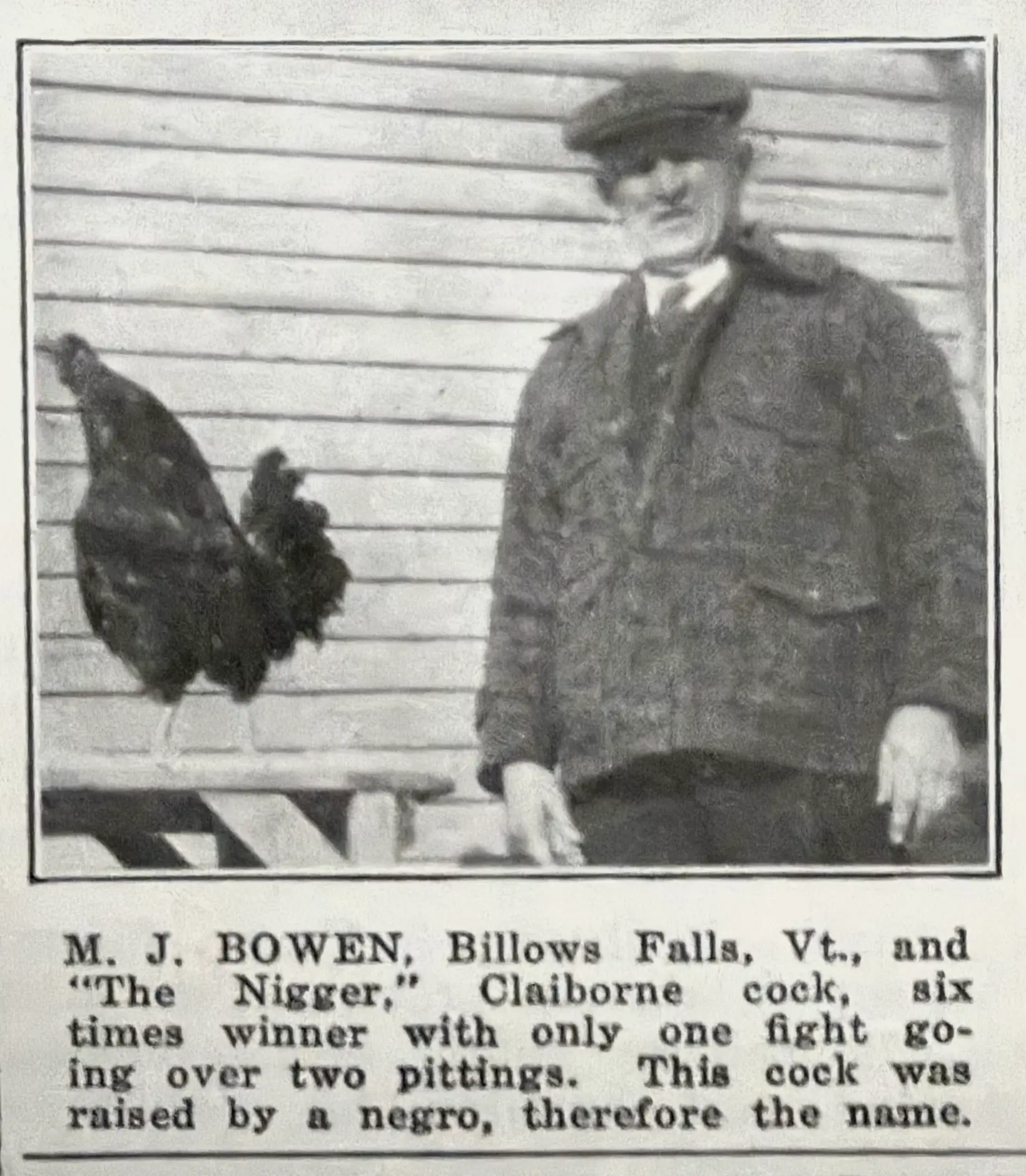 M. J. Bowen of Billows Falls, Vermont, pictured with a Claiborne gamecock, June 1931.