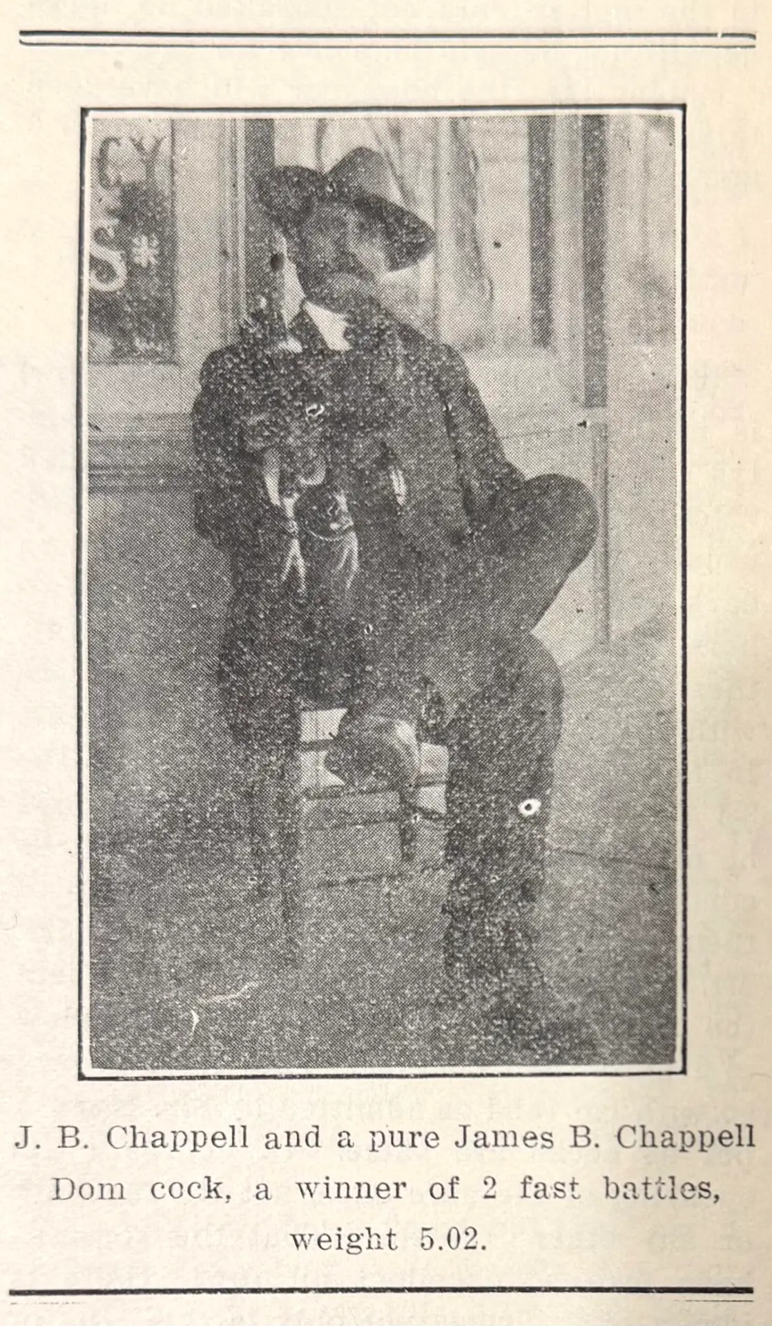 Historic photograph of J. B. Chappell with a pure James B. Chappell Dom cock, originally published January 1912.