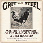 Historic Grit & Steel feature asking whether the granddaddy of the Madigan Clarets was a Grey rooster