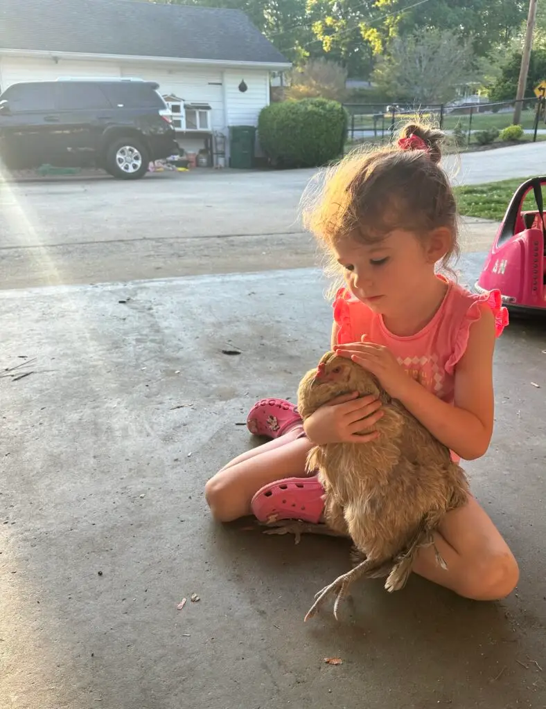 Valli with her favorite hen.