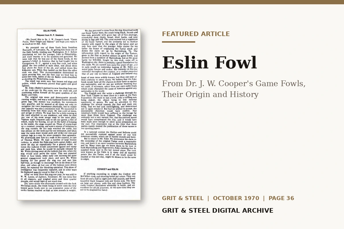 Eslin Fowl — Grit & Steel, October 1970, page 36