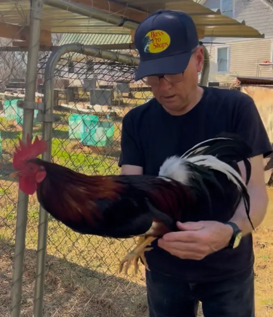 Joe Mac Skinner holding a yellow-legged Walter Kelso stag