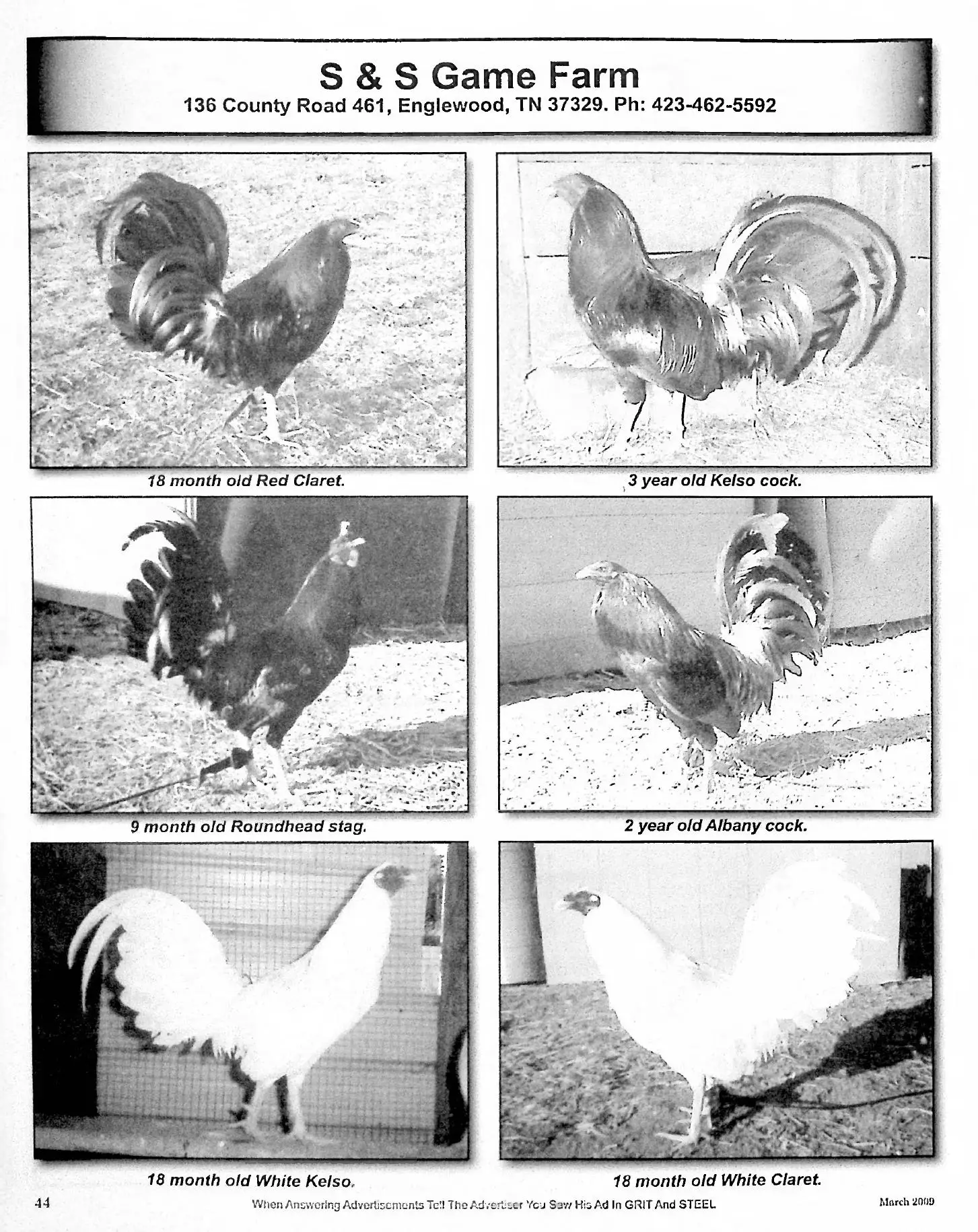 S&S Game Farm feature in Grit & Steel March 2009